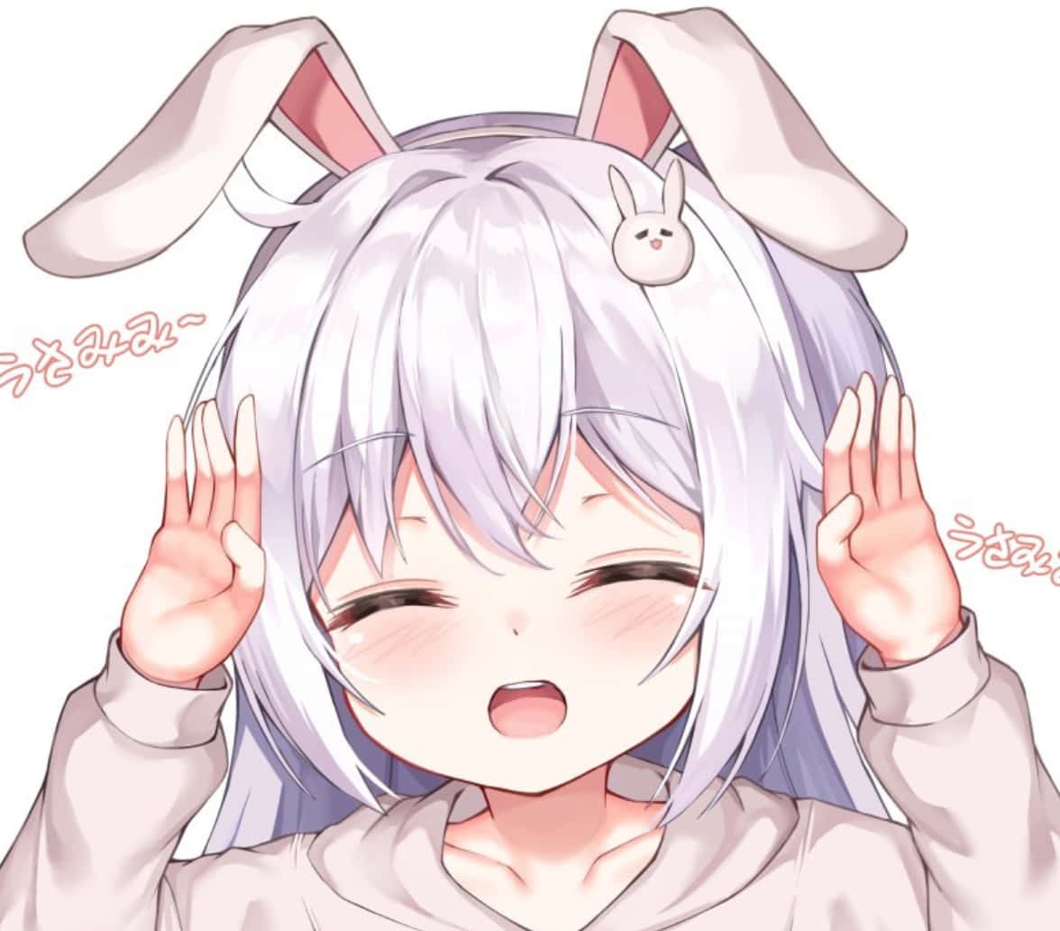 Download Discord Anime Pfp Happy Bunny Wallpaper 
