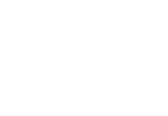 Discord Partner Logo PNG