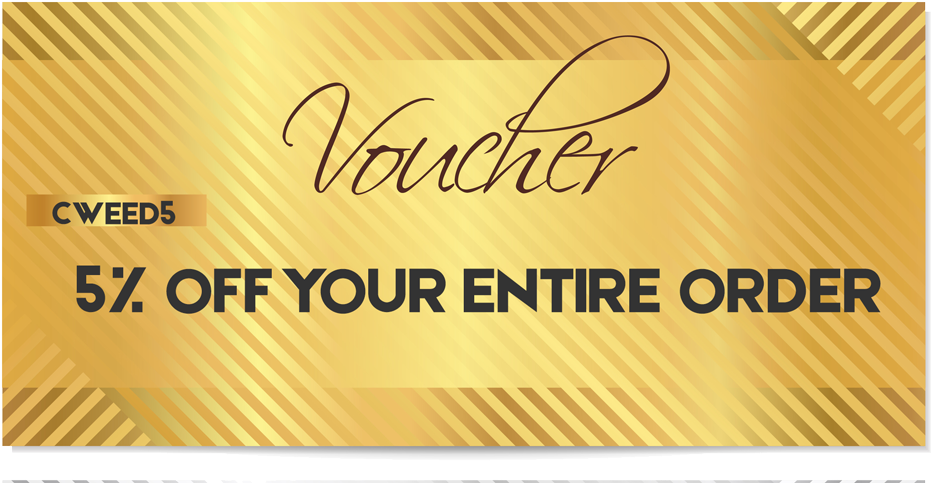 Discount Voucher5 Percent Off PNG