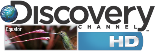 Discovery Channel H D Logowith Hummingbird PNG
