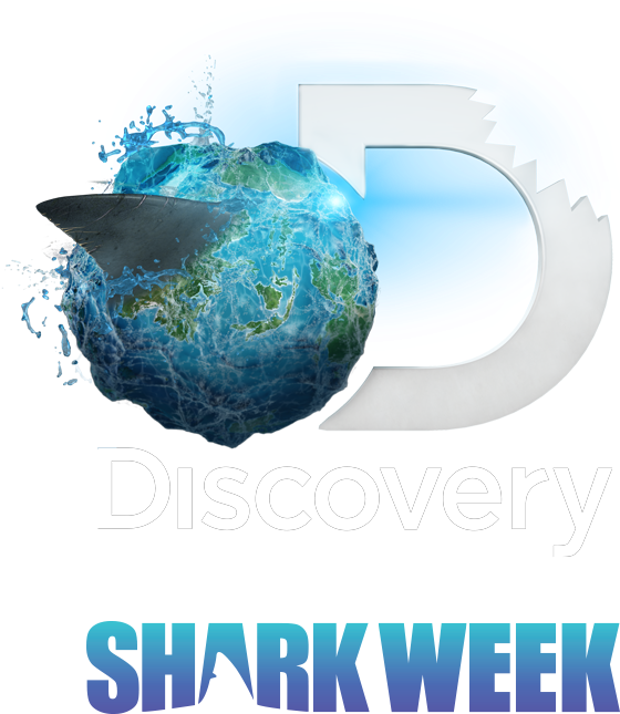 Download Discovery Channel Shark Week Logo | Wallpapers.com