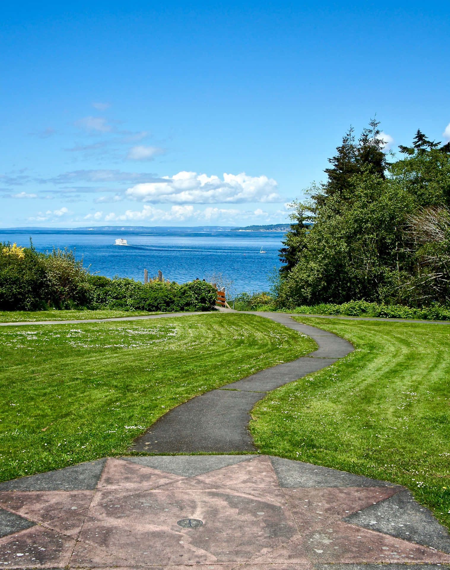 Discovery Park Seattle Pathway View Wallpaper