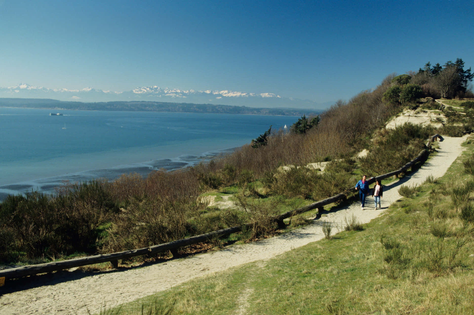 Discovery Park Seattle Scenic Trail Wallpaper