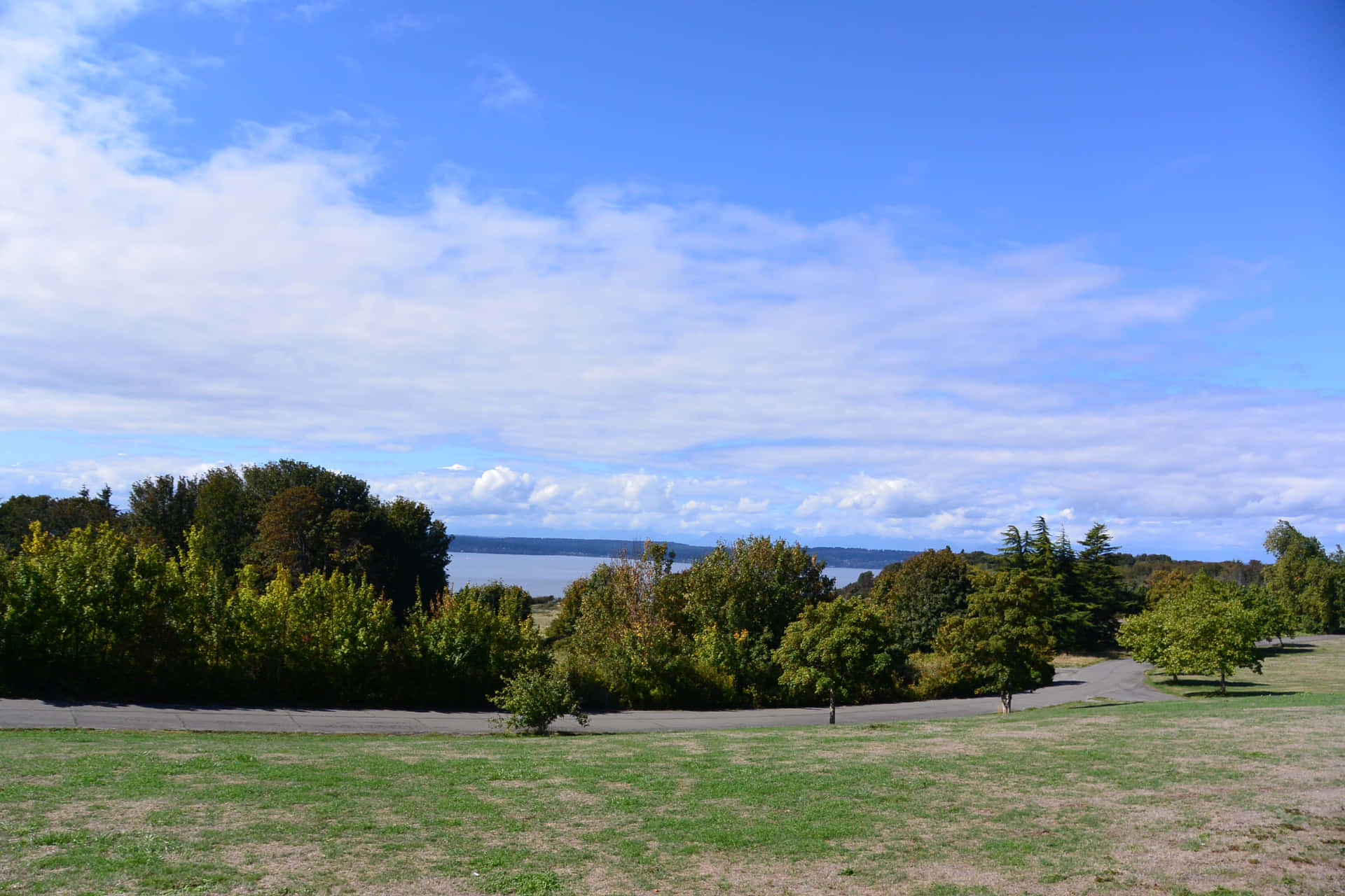 Discovery Park Seattle Scenic View Wallpaper