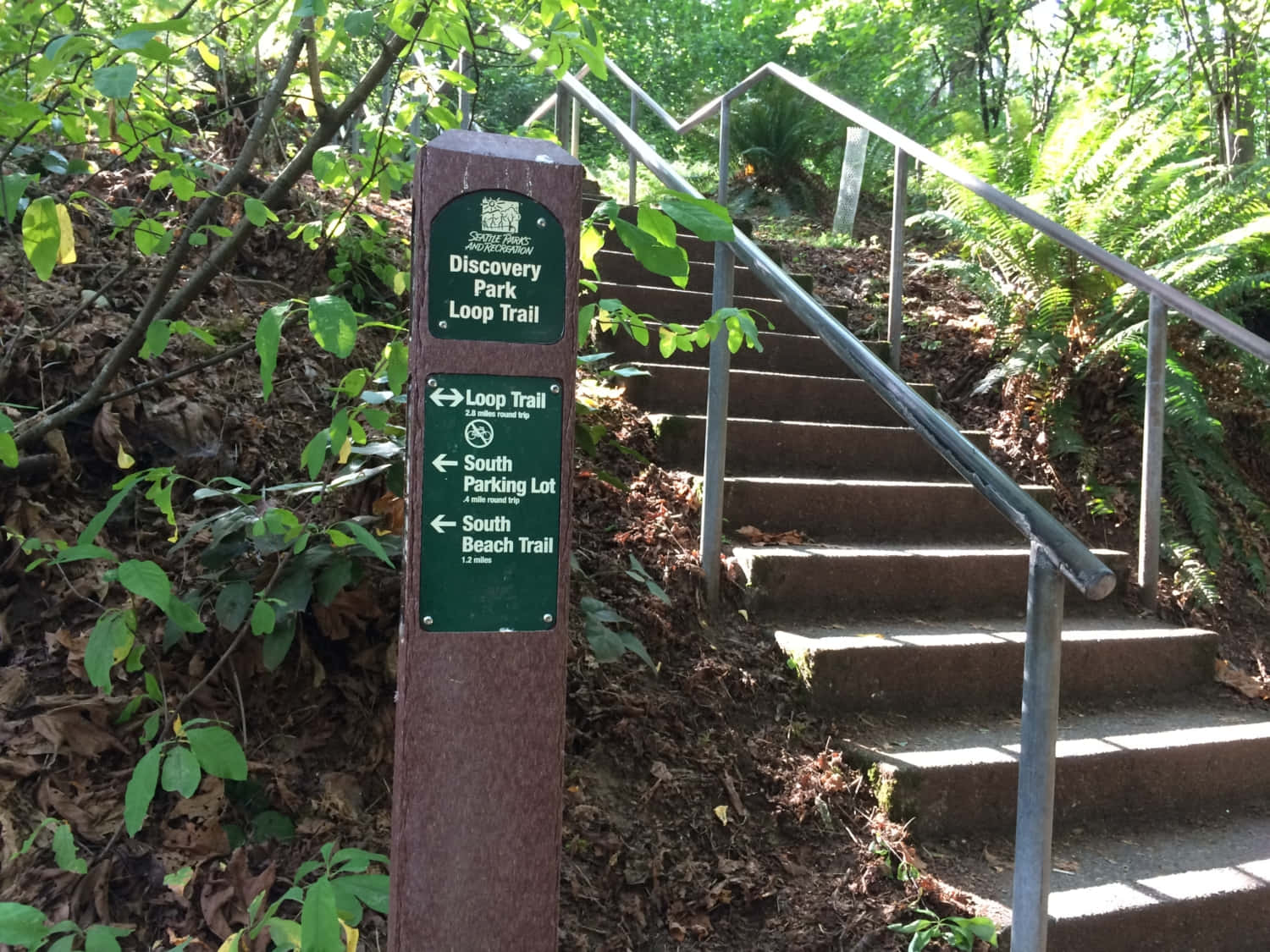 Discovery Park Trail Signand Stairs Wallpaper