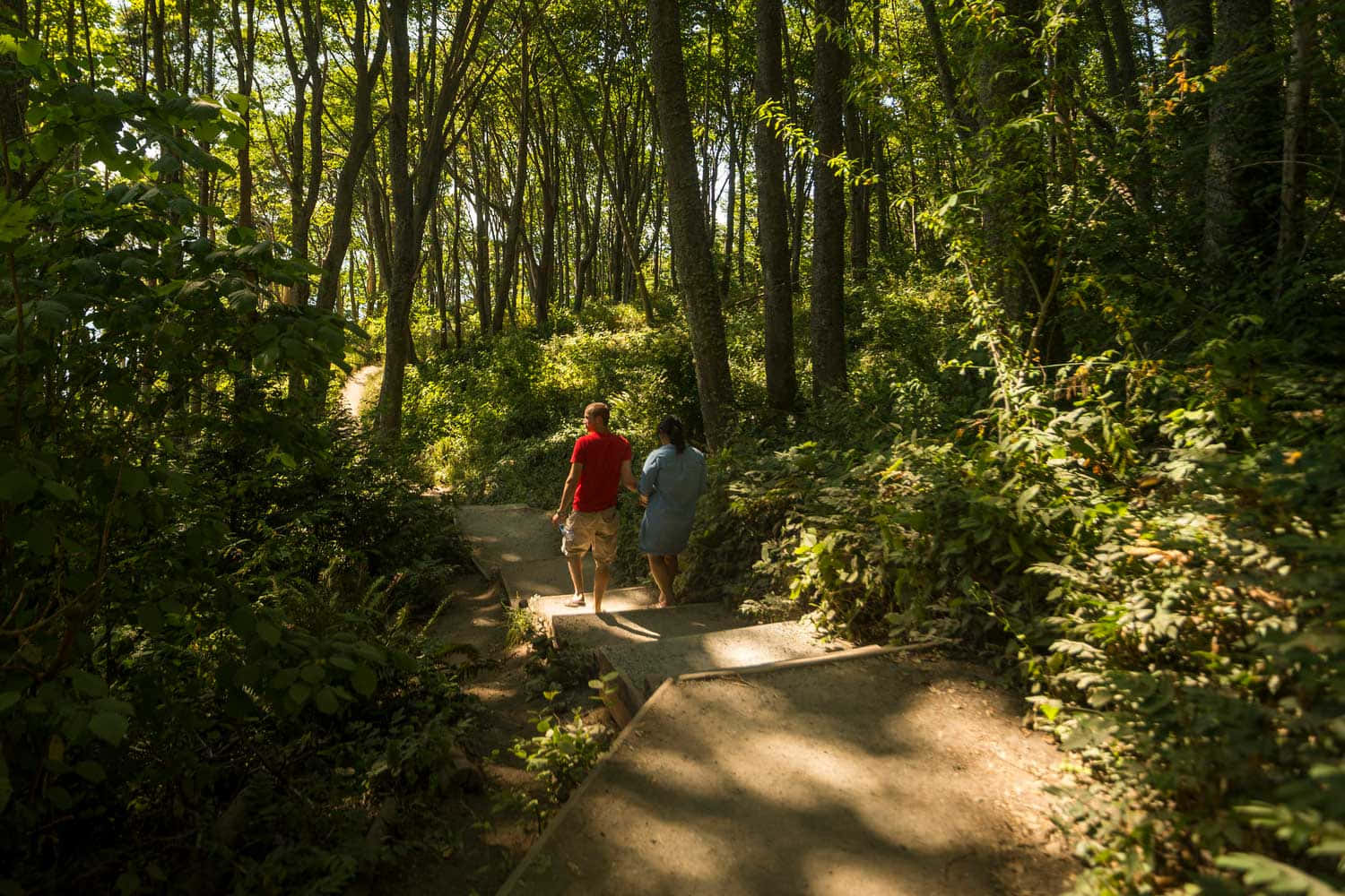 Discovery Park Trail Walkers Wallpaper