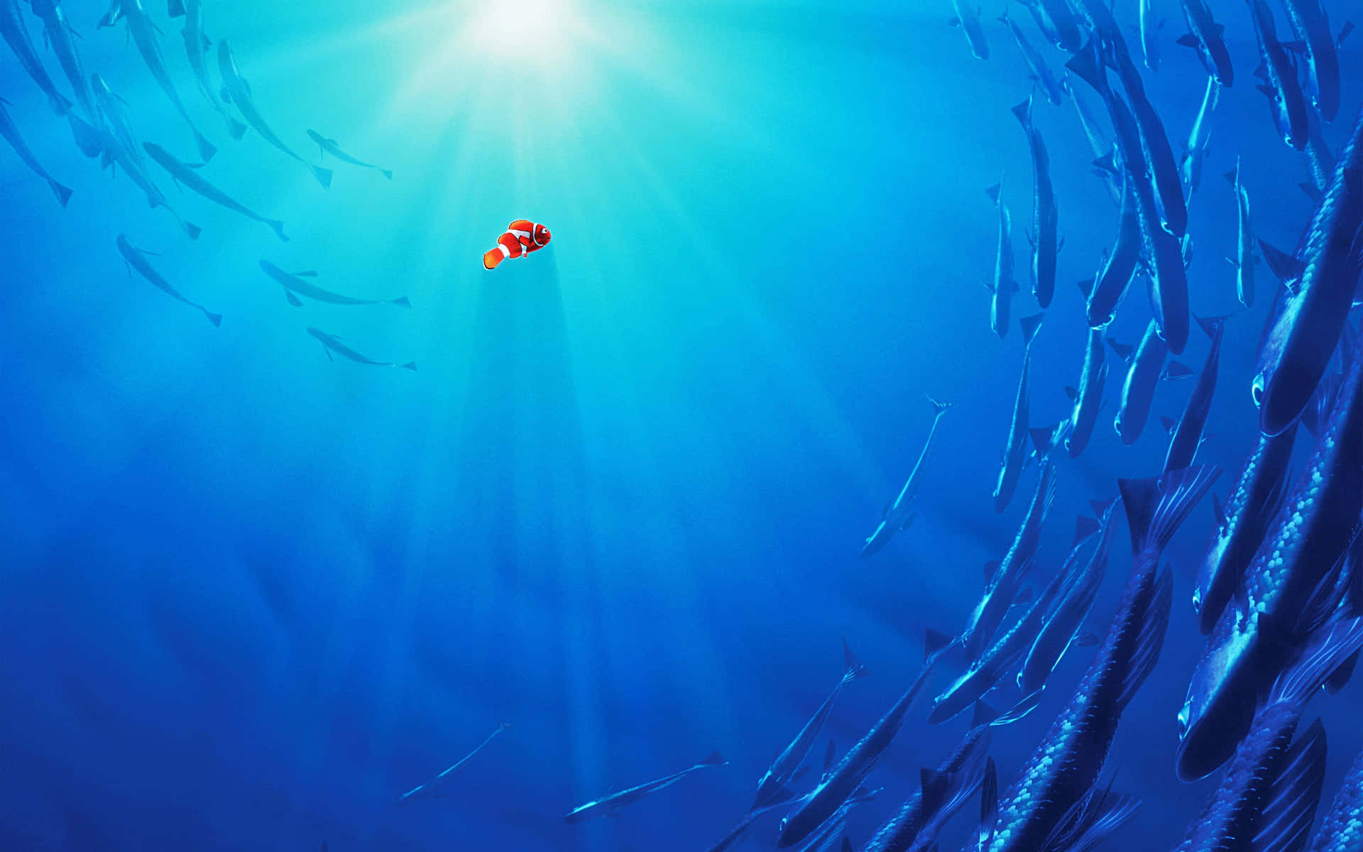 Disney4k Nemo Clownfisken. Wallpaper