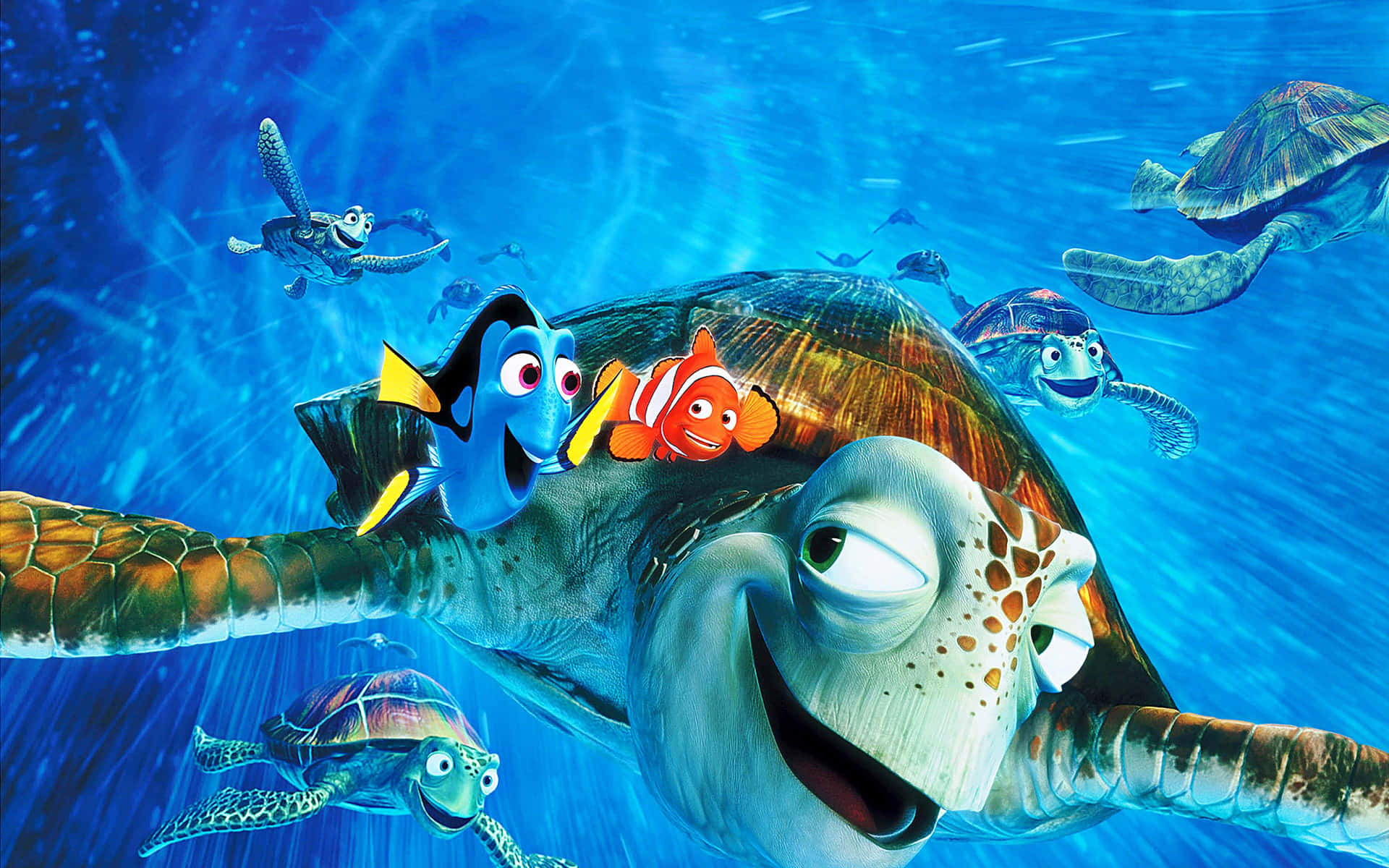 Finde Nemo film tapet Wallpaper
