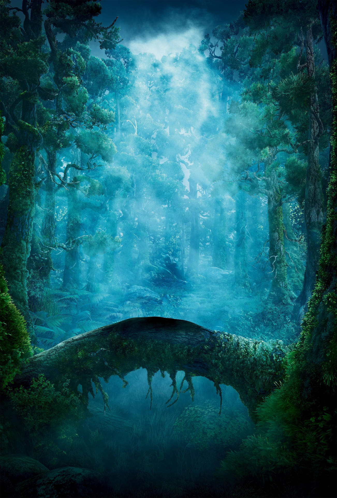 Disneybrave Det Förtrollade Skogen Wallpaper