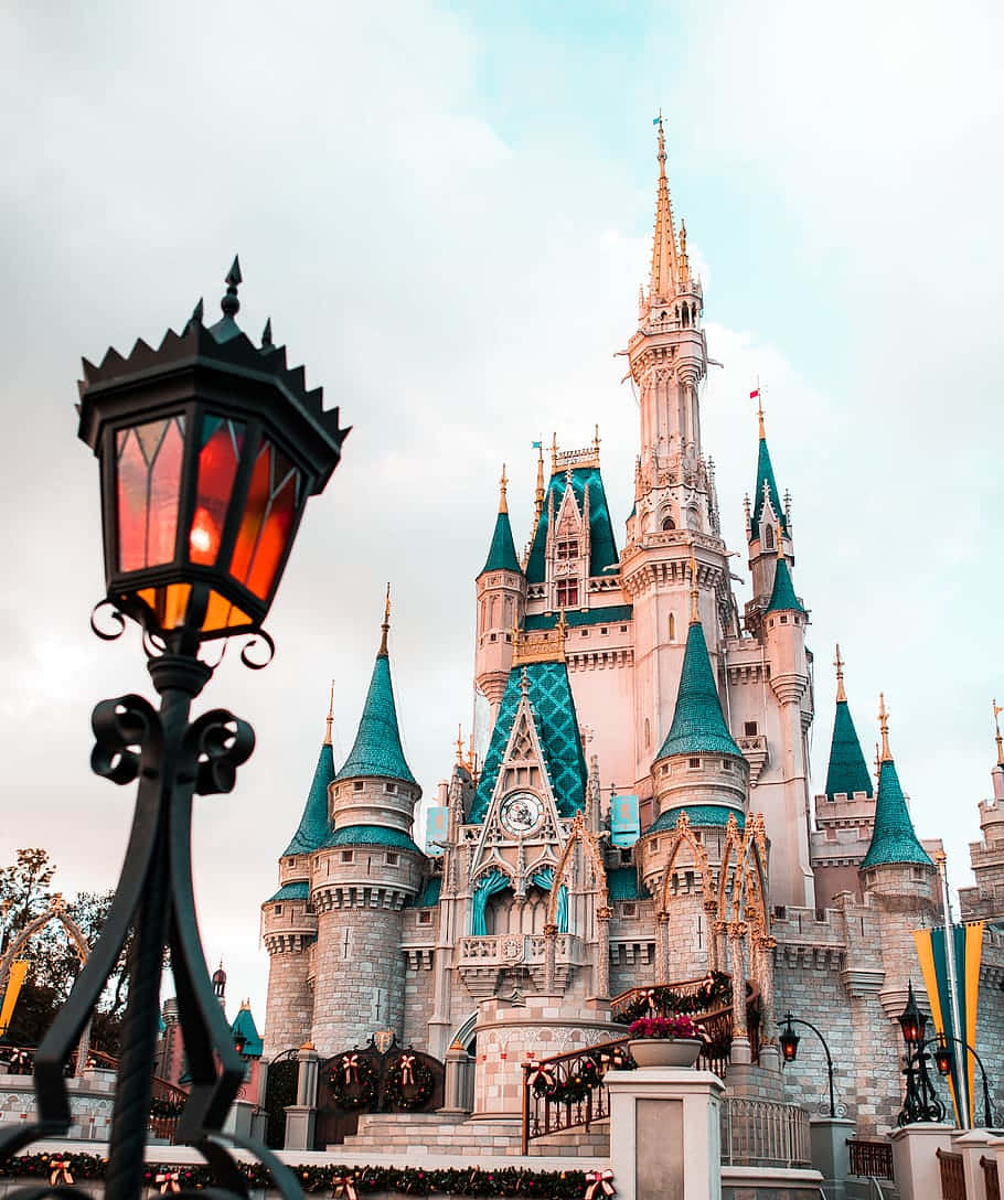"The Magical Disneyland Castle"