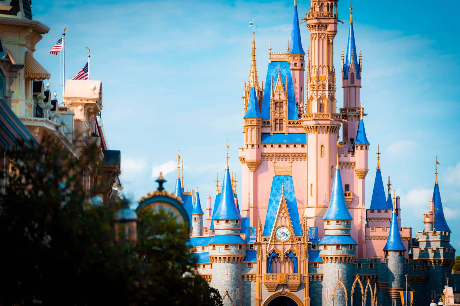 Step Inside the Magic of the Disney Castle