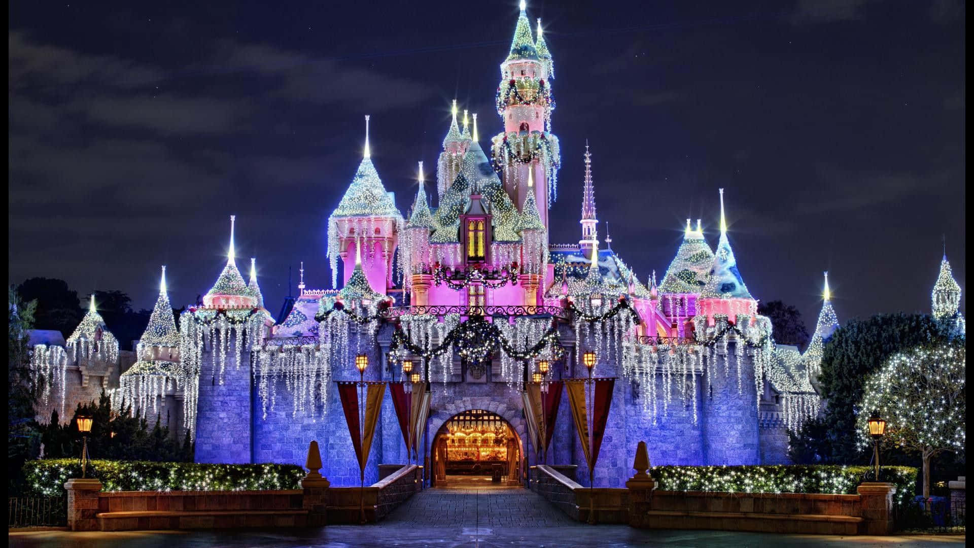 Disneylandslottet På Natten Med Ljus