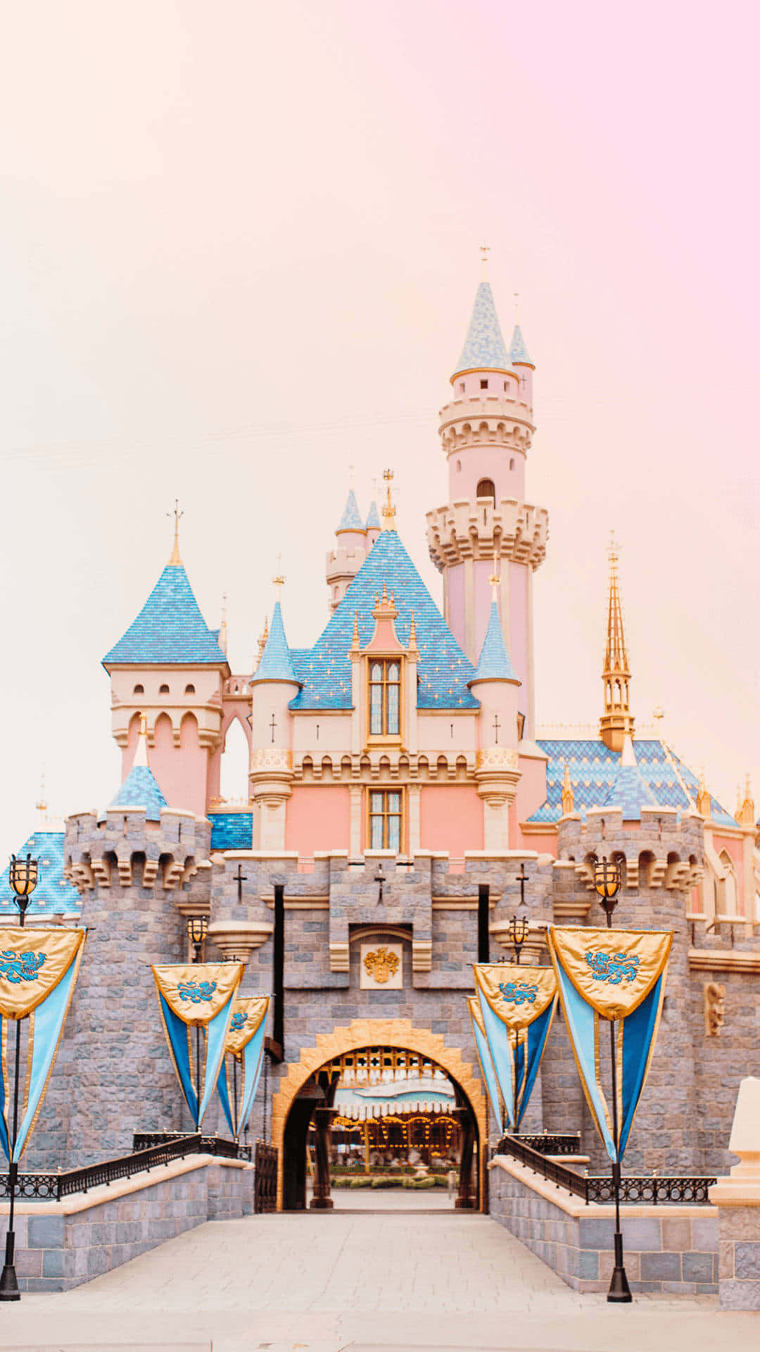 Magical Disney Castle in the Sky