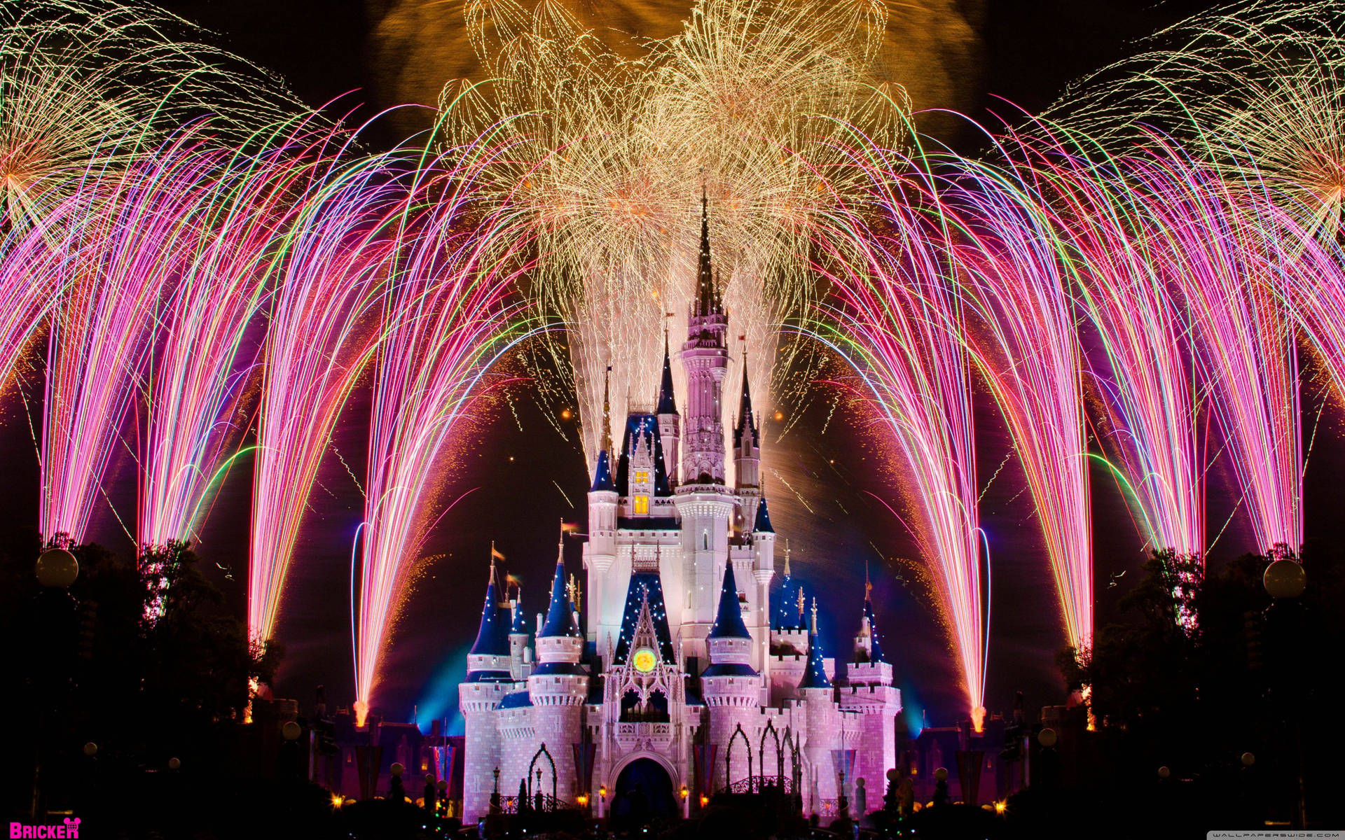 Disney Castle Fireworks Picture