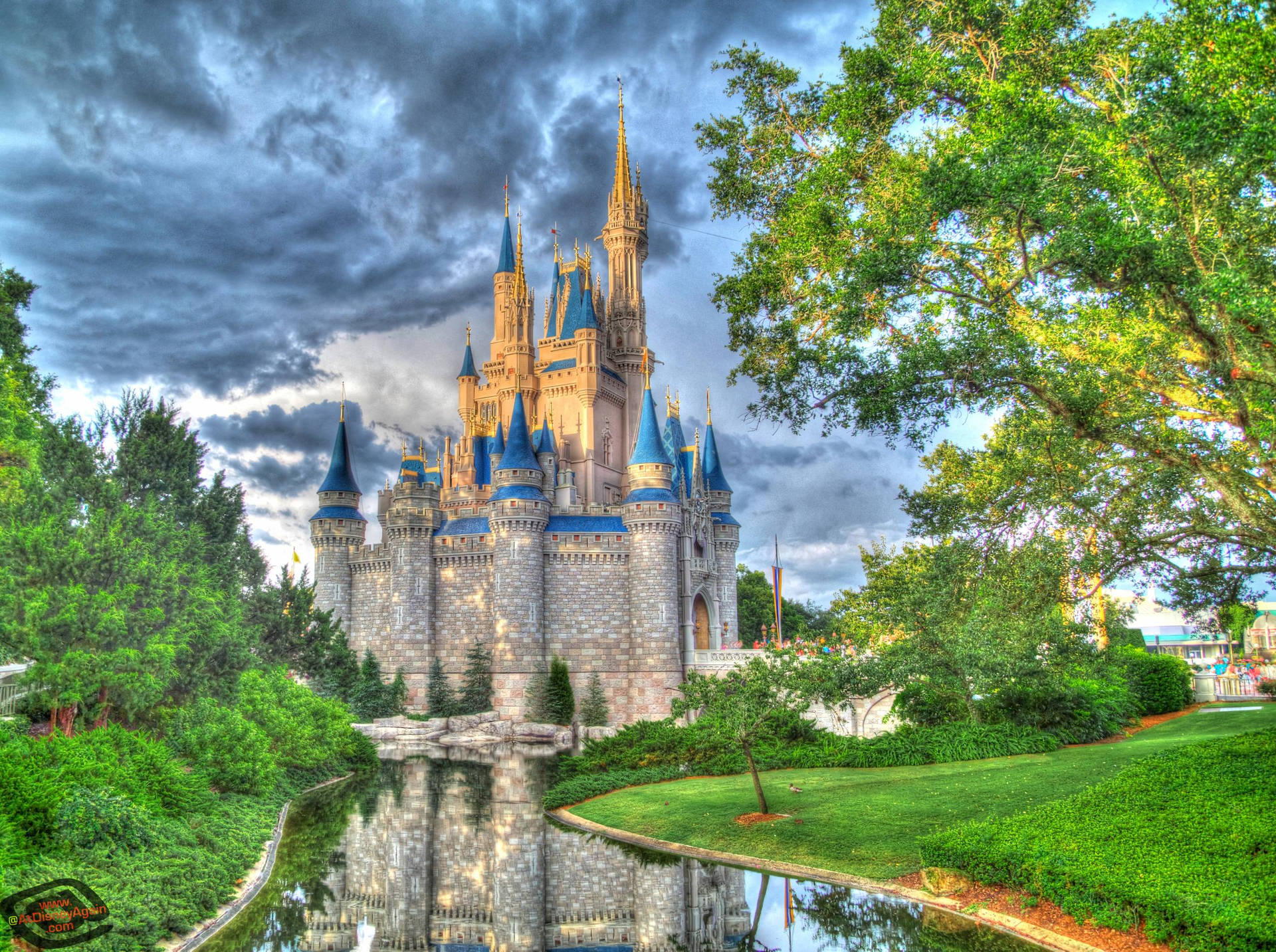Disney Castle Forest Wallpaper