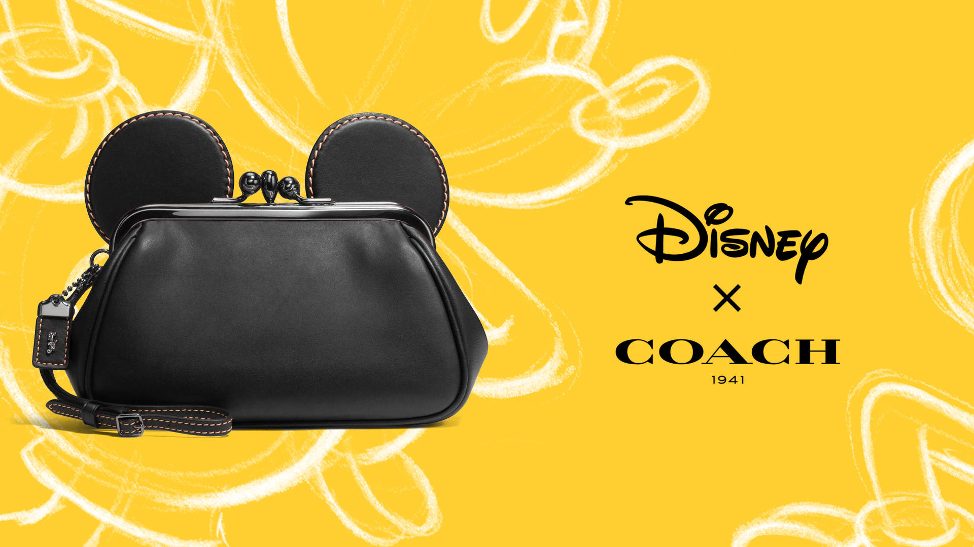 Disney Coach Bag Background