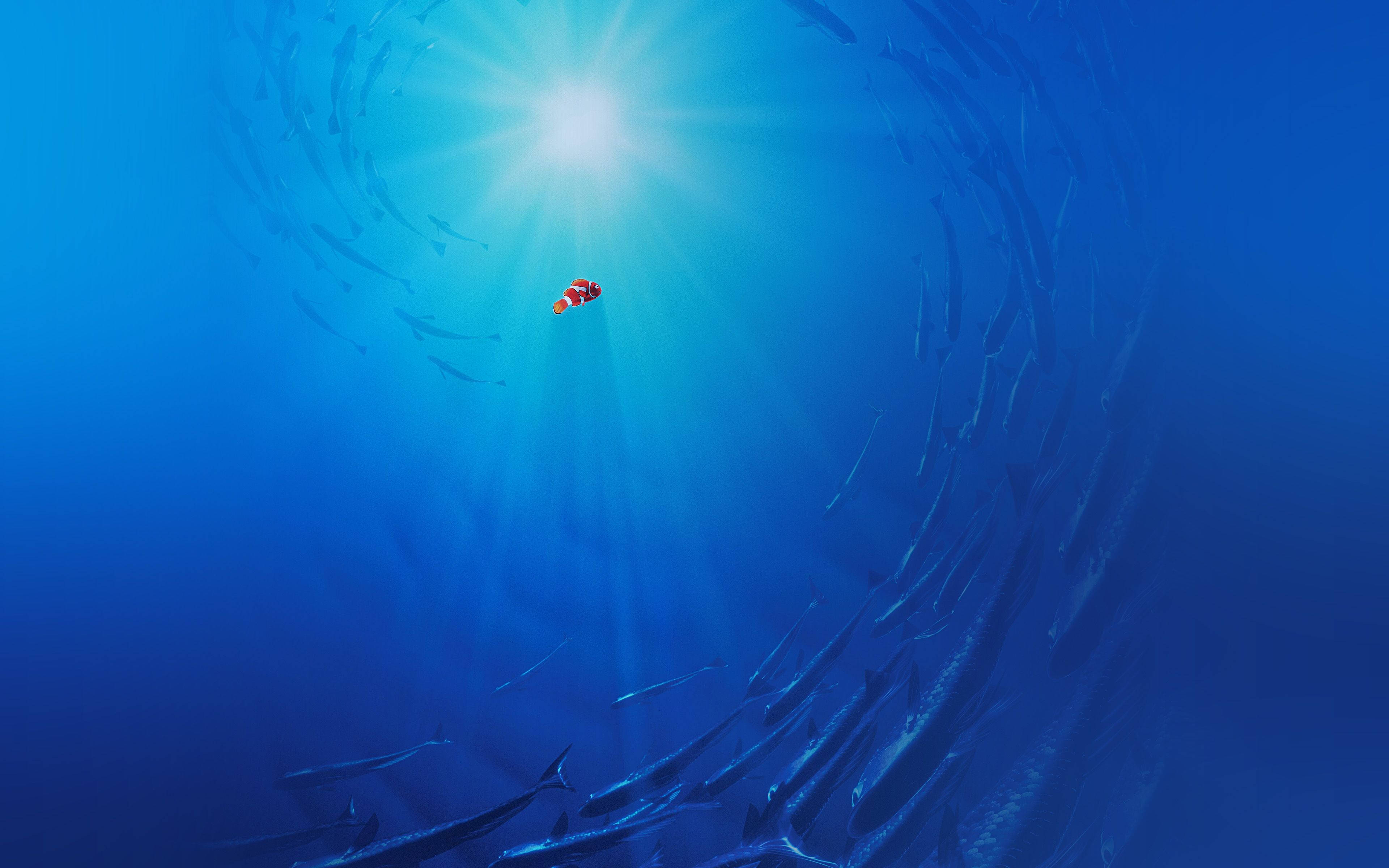 Disney Finding Nemo Laptop Wallpaper