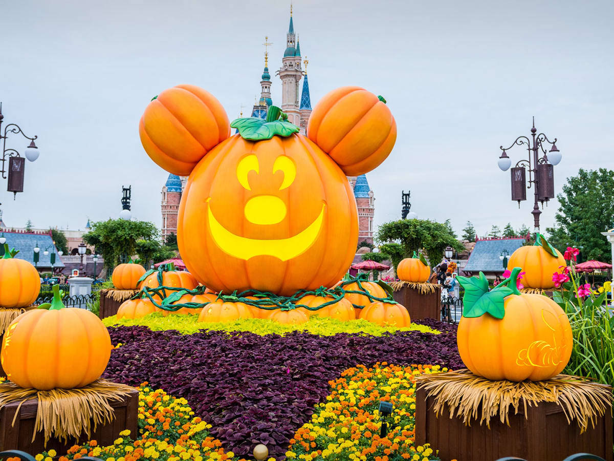 Disney Halloween Mouse Pumpkins Wallpaper