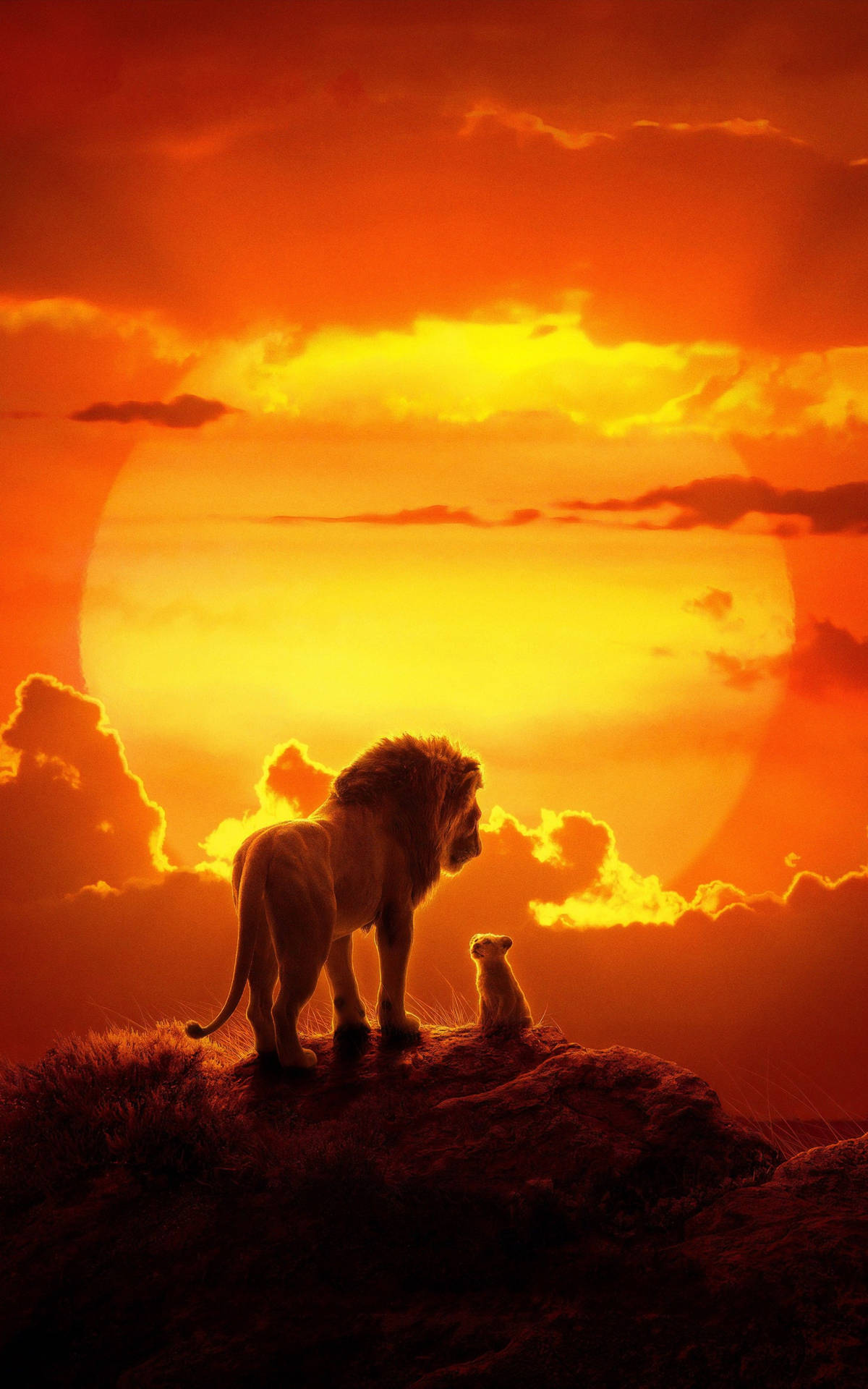 Lion King live Mufasa and Simba sunset wallpaper.