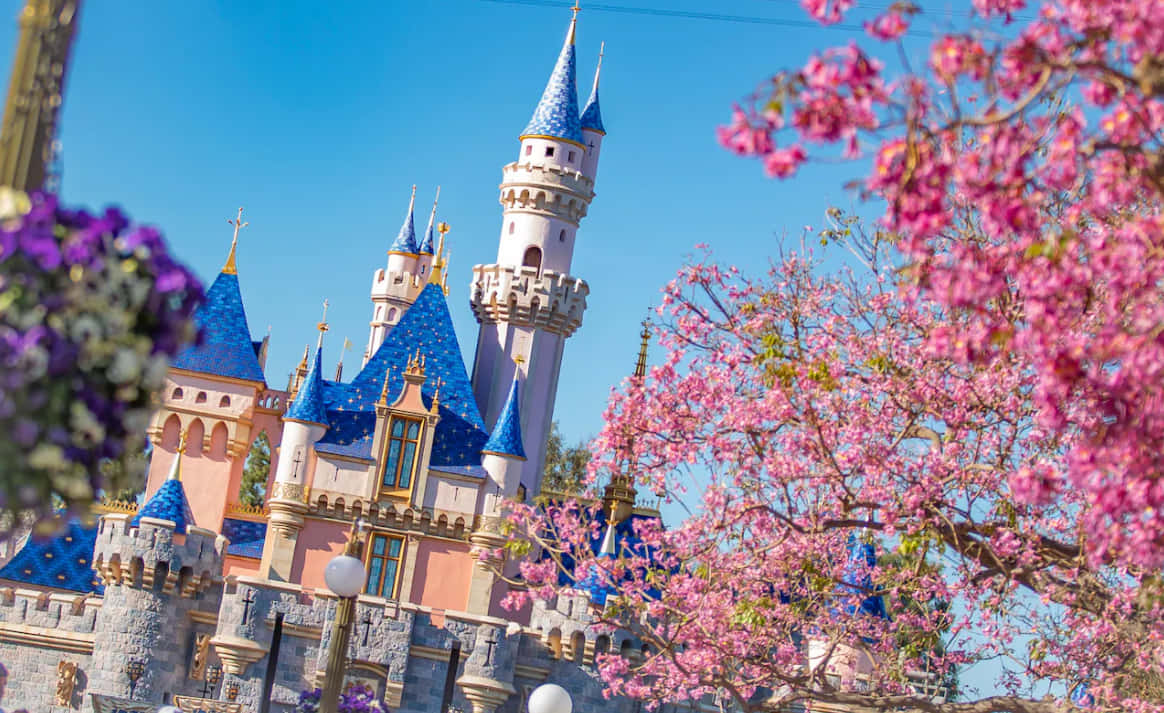 Disneylandprimavera In California Sfondo