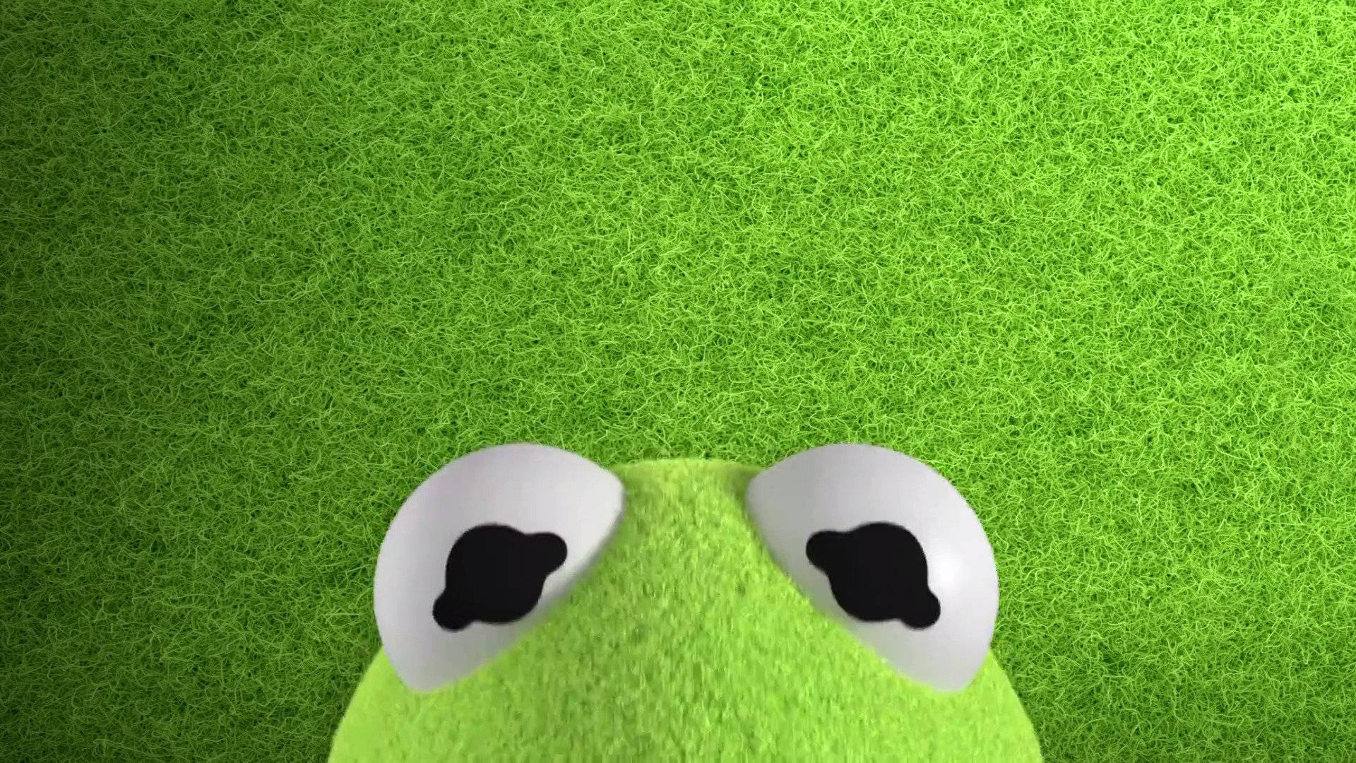 Disney Muppet Babies Half-faced Kermit Background