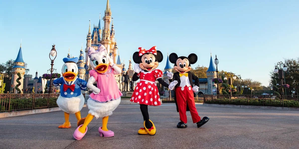 Explorael Reino Mágico De Disney.