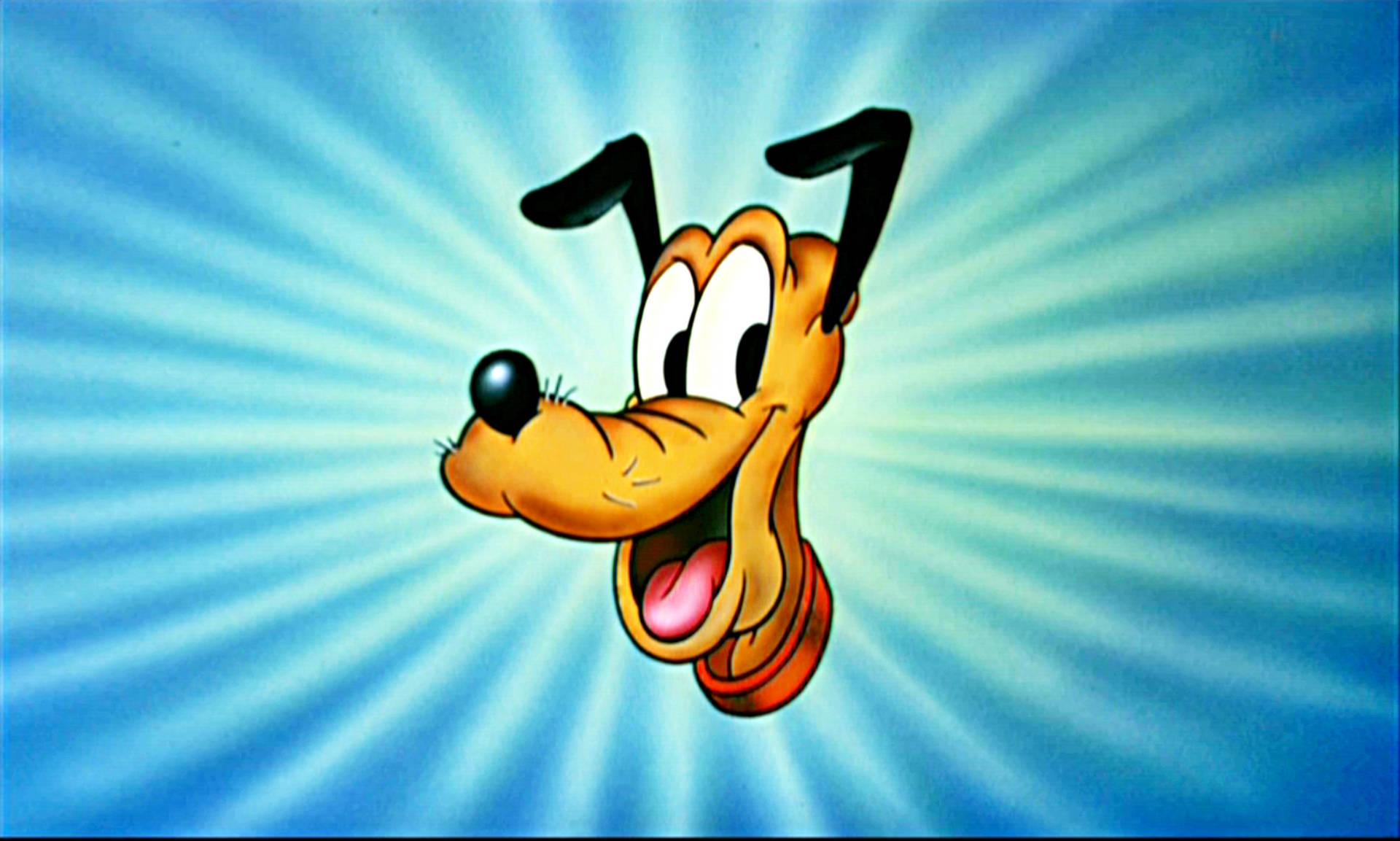 Close up image of Disney's Pluto with a playful charm. Wallpaper
