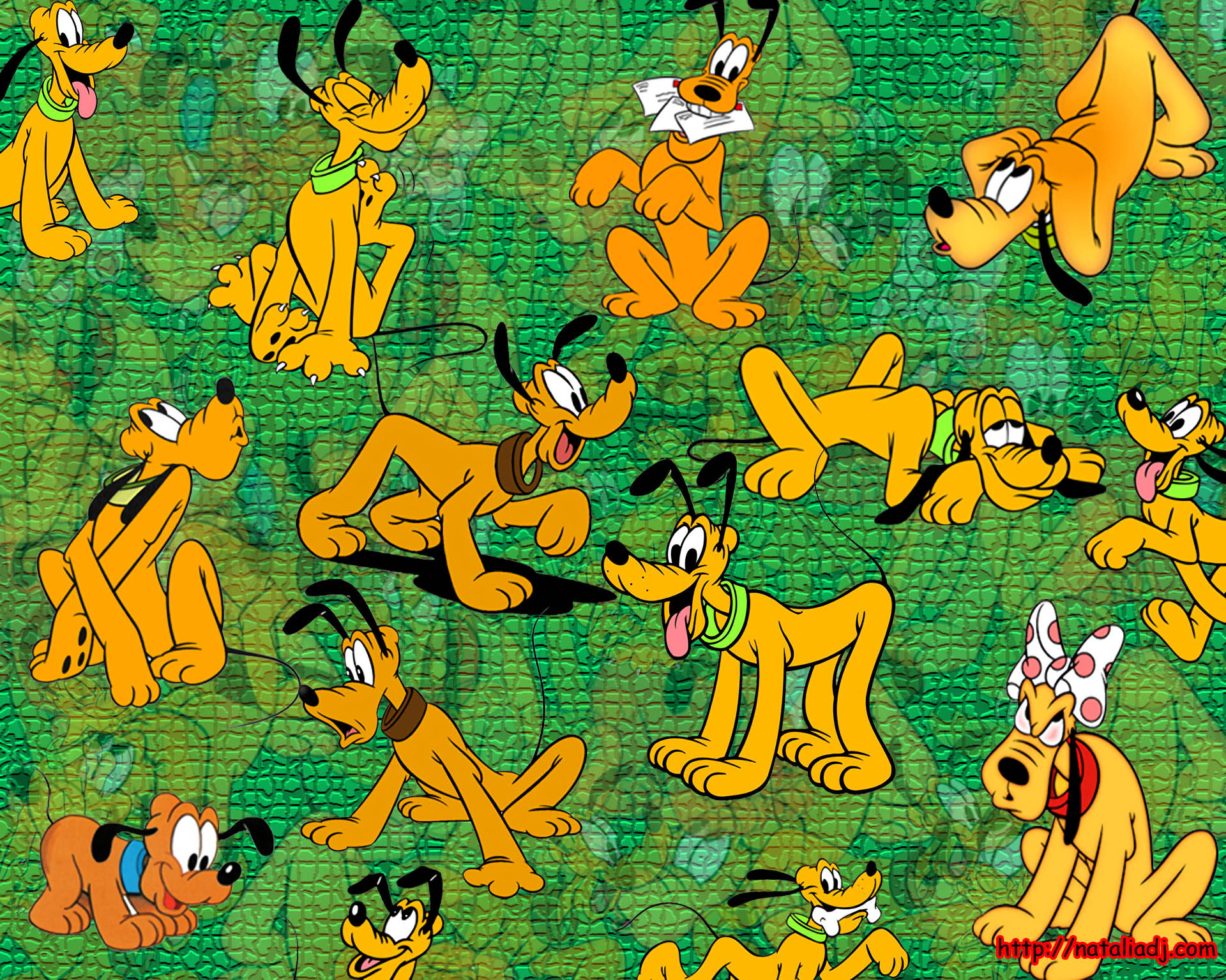 Disney Pluto Patterns in green wallpaper