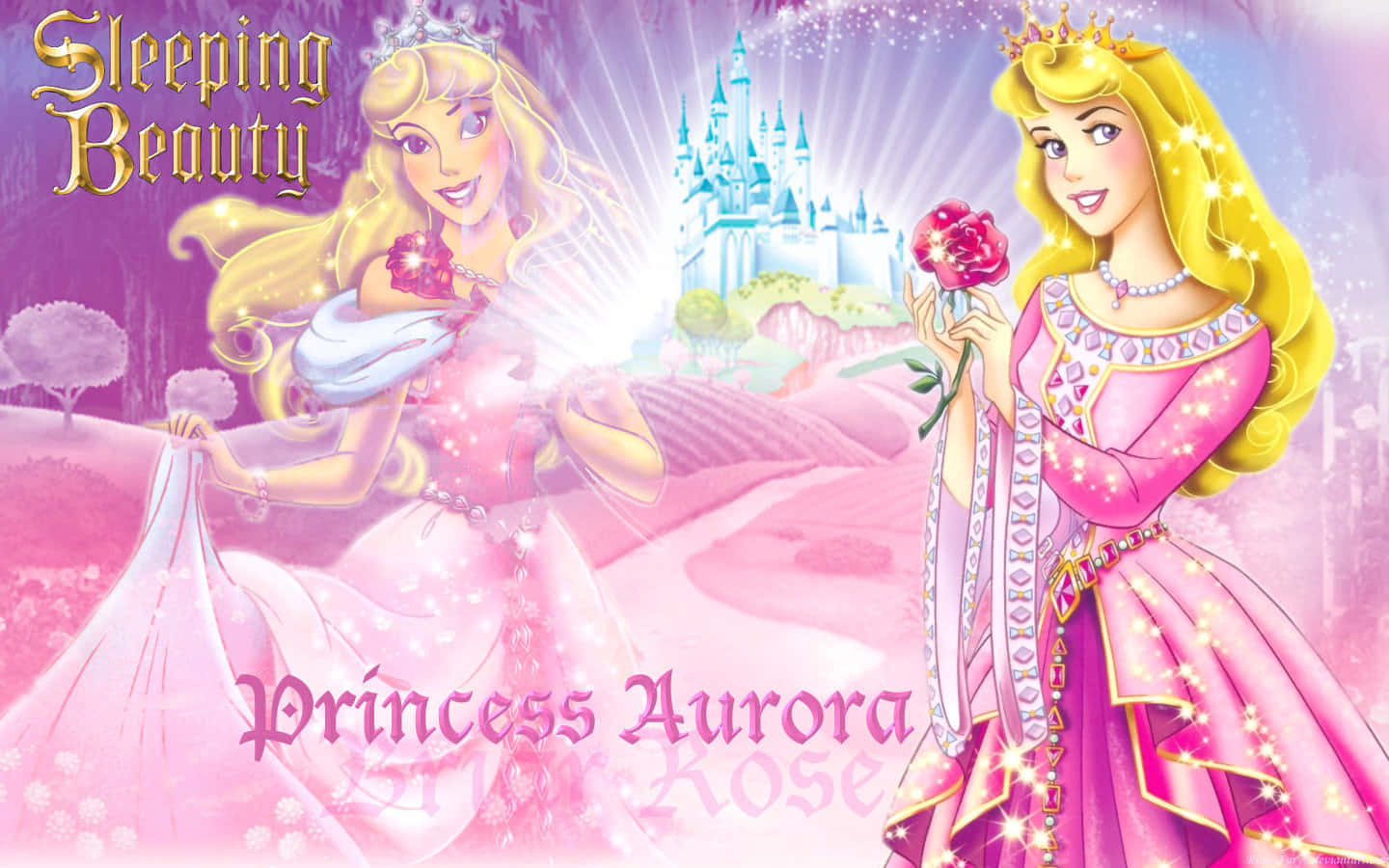 Fyraälskade Disney-prinsessor - Jasmine, Rapunzel, Cinderella Och Belle