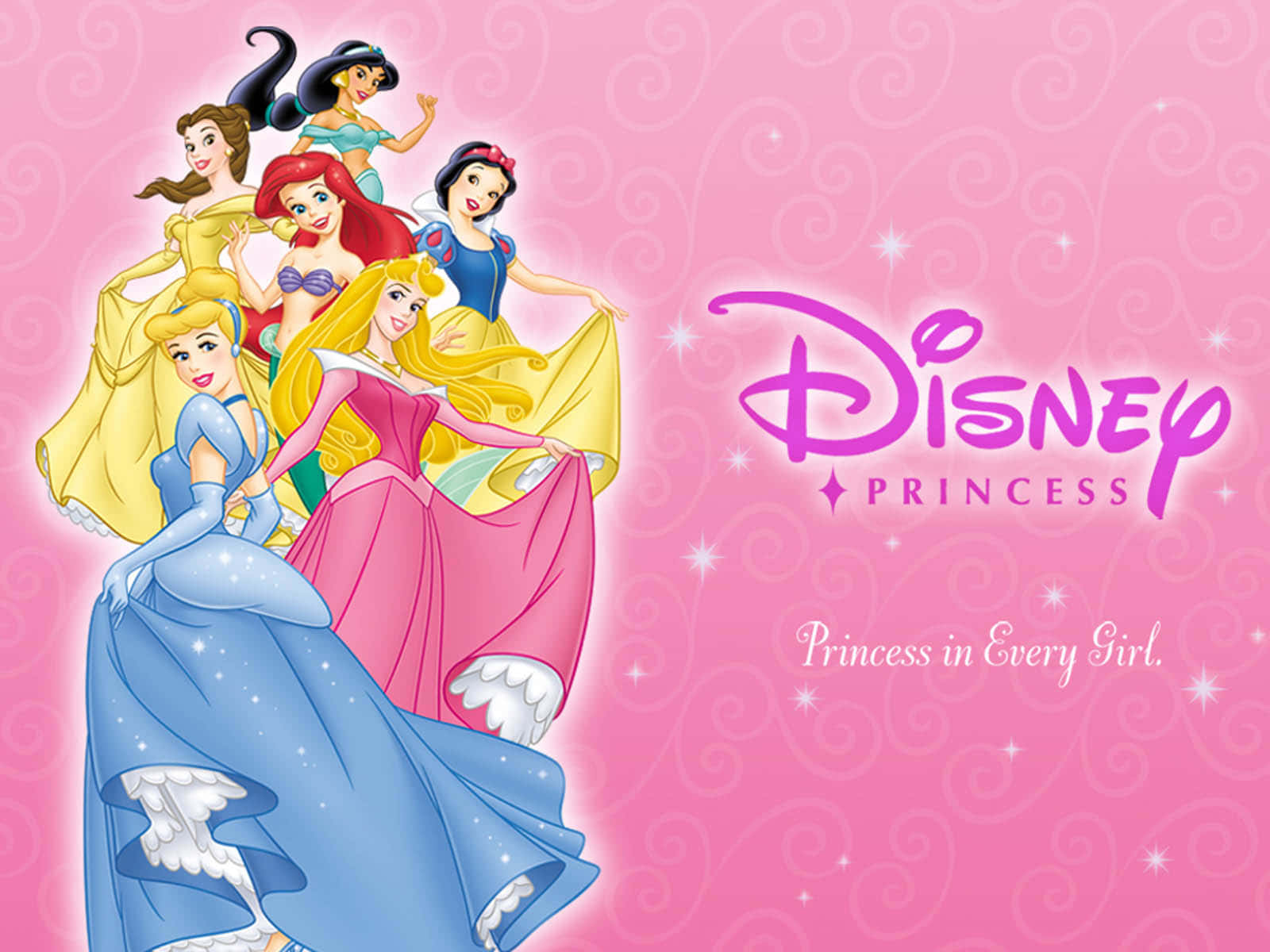 Classic Disney Princesses all in one place!
