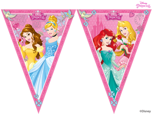 Disney Princess Banner Design PNG