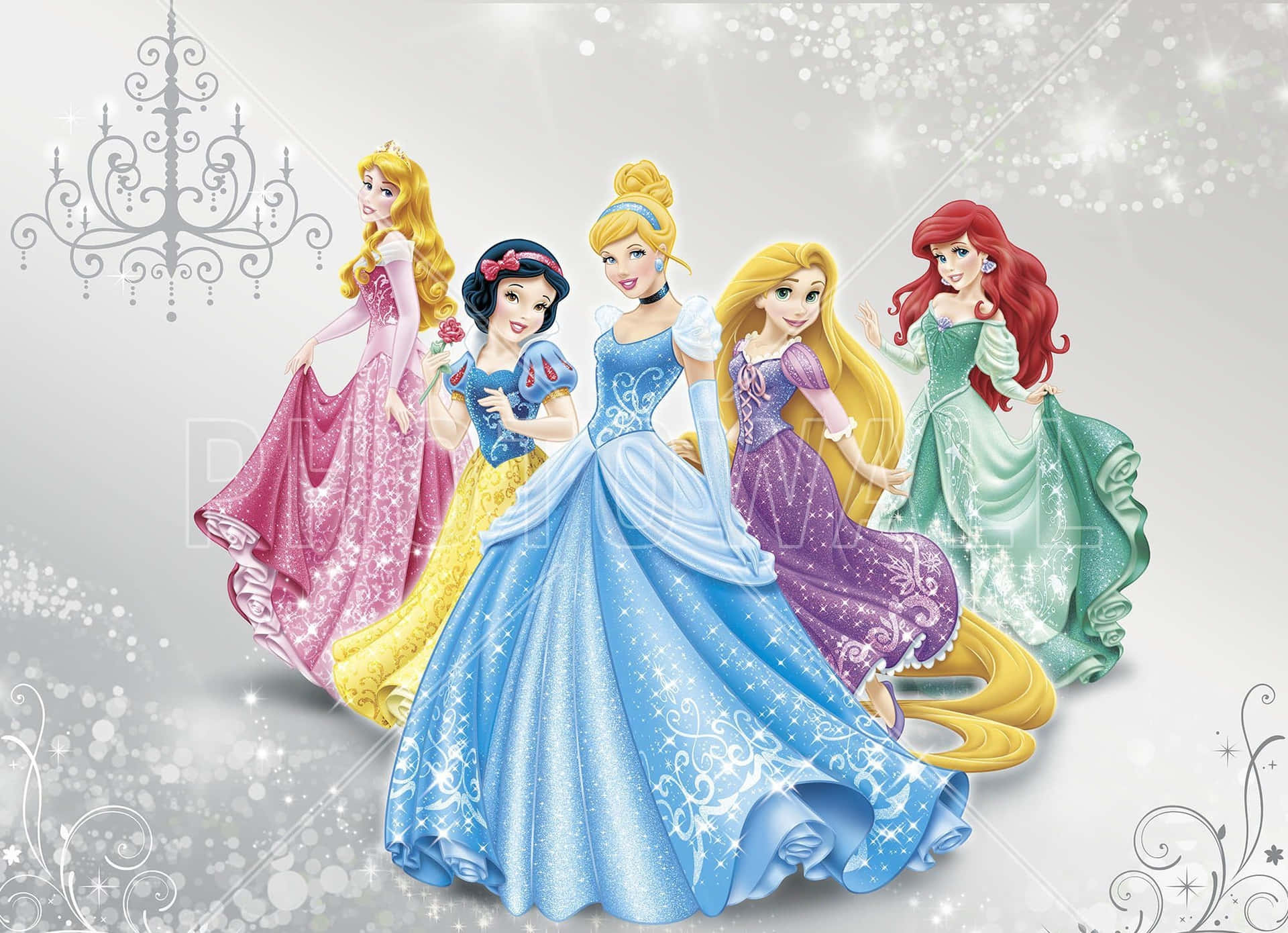 Disney Princesses Sparkles Glitters Picture