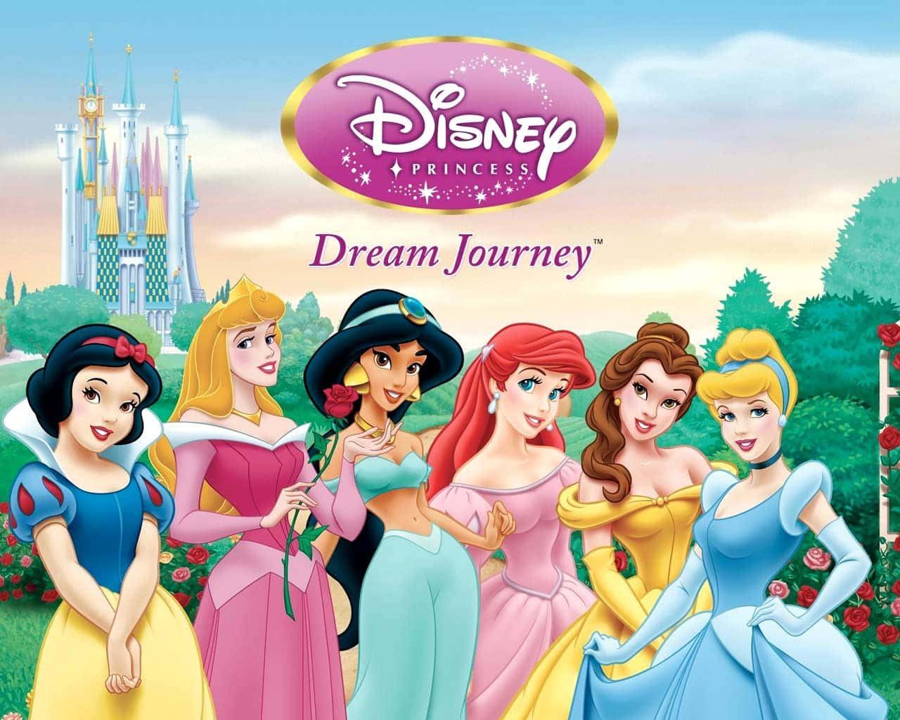 Disney Prinsesser Drømme Rejse Billedvæg Billede Tapet
