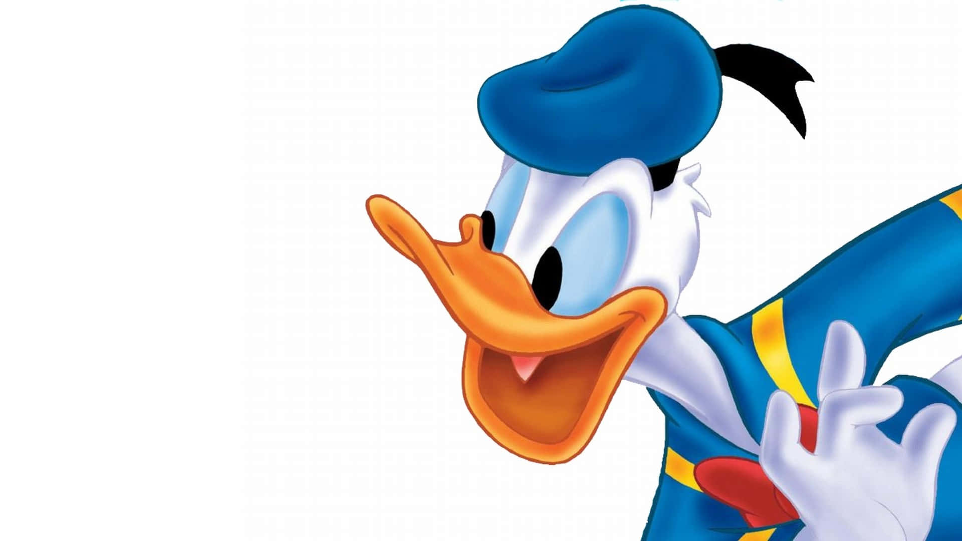 Donald Duck In Blue Hat And Blue Shirt