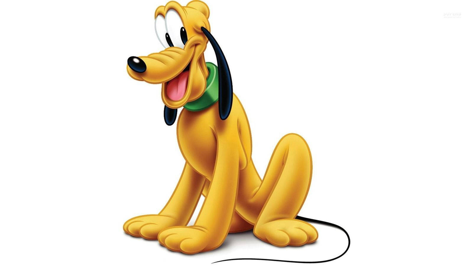 Disney's Cheerful Pluto Playing Fetch In The Green Park Wallpaper