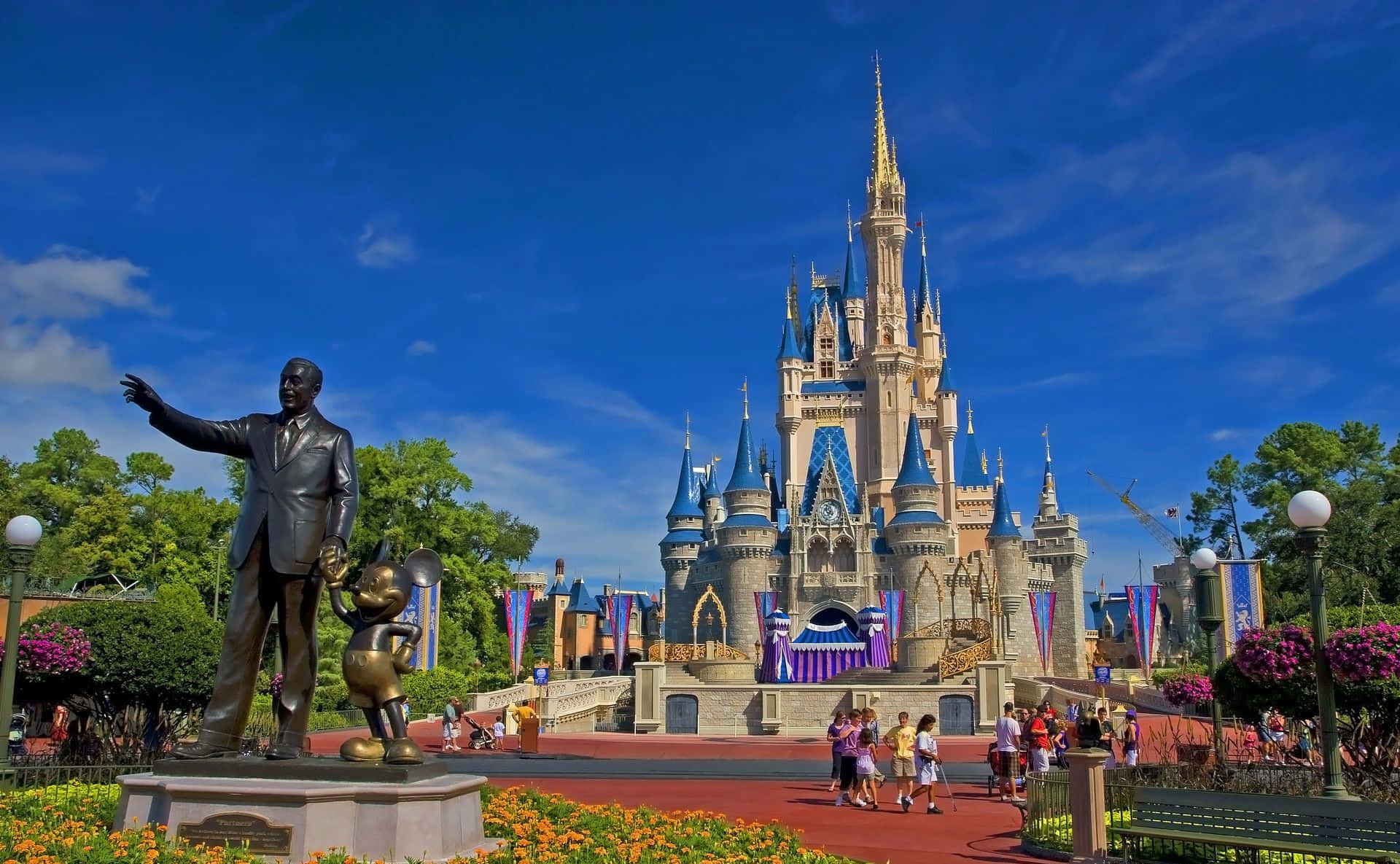 Explore the Magical World of Disney