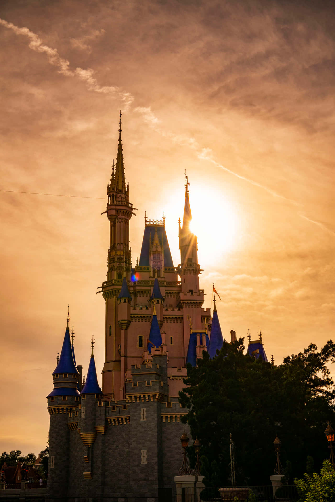 Explore the magic of Walt Disney World on Android Wallpaper