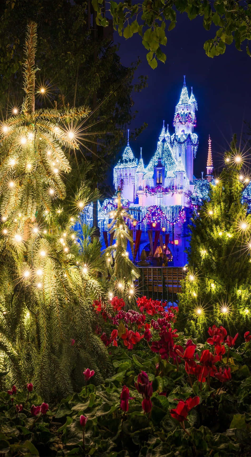 Disney World By The Garden Android Wallpaper