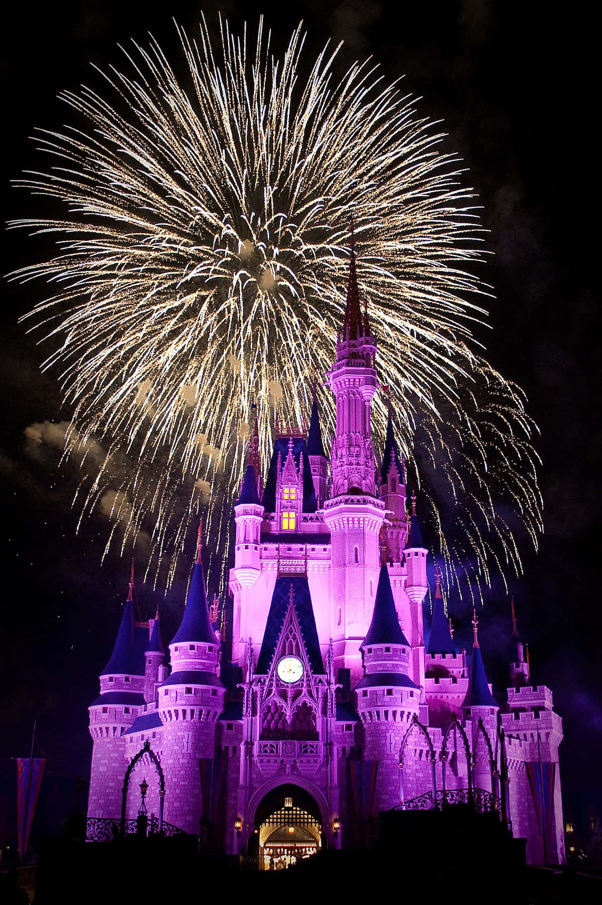 Experience a Magical Adventure at Disney World! Wallpaper