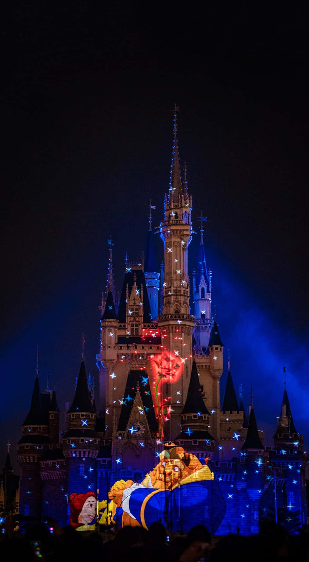 Magiske familie minder ved Disney World Wallpaper