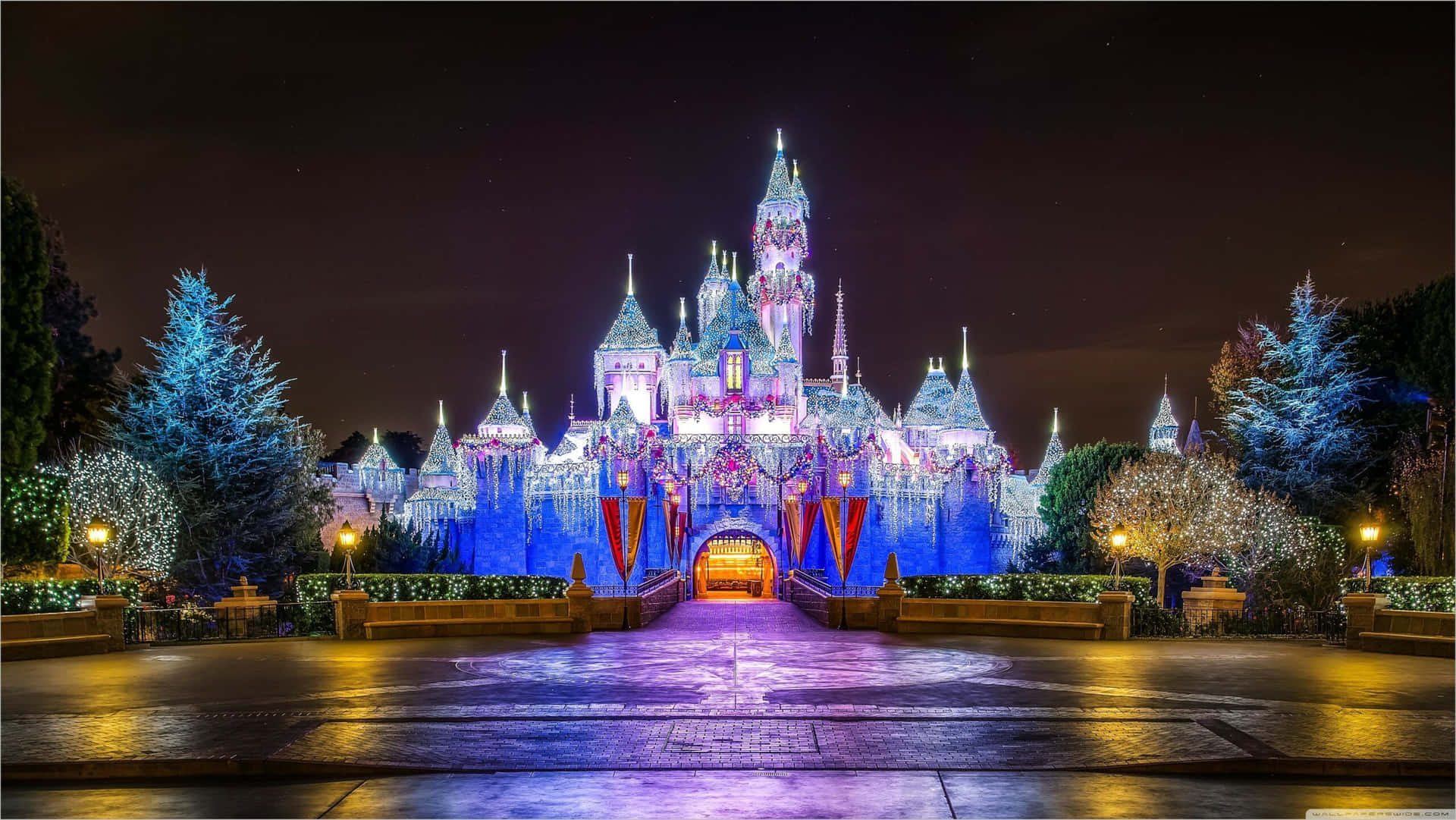 Magiske minder skabt i Disney World! Wallpaper