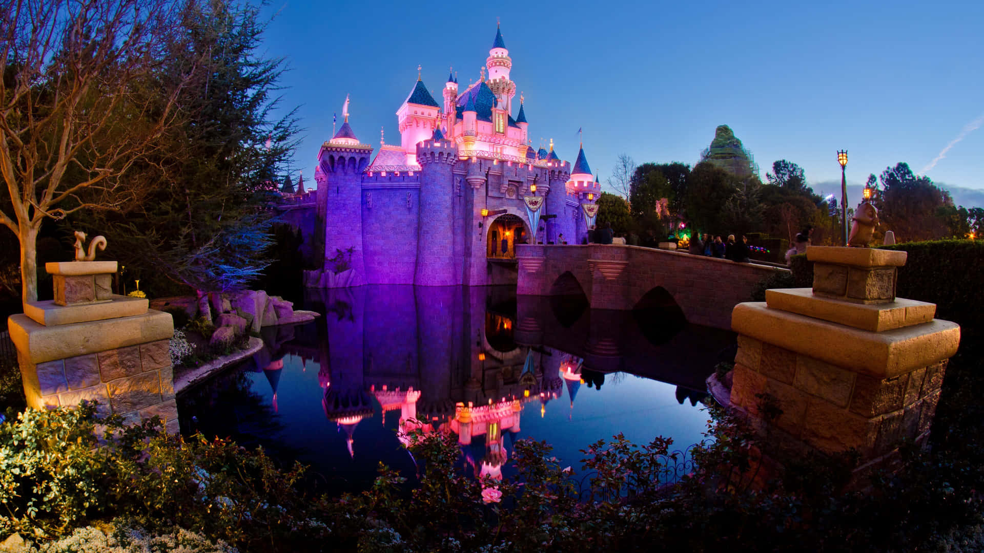 Nyd en magisk tur til Disney World Wallpaper