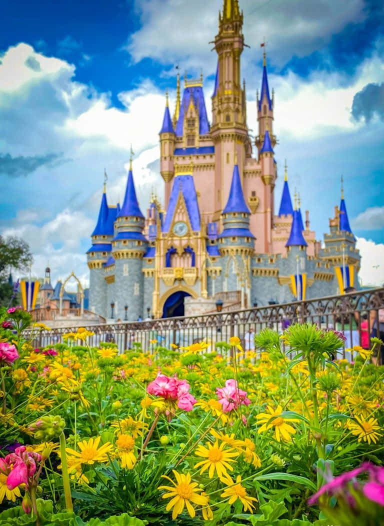 Disneyworld Cinderella Schloss Blumen Porträt Iphone Wallpaper