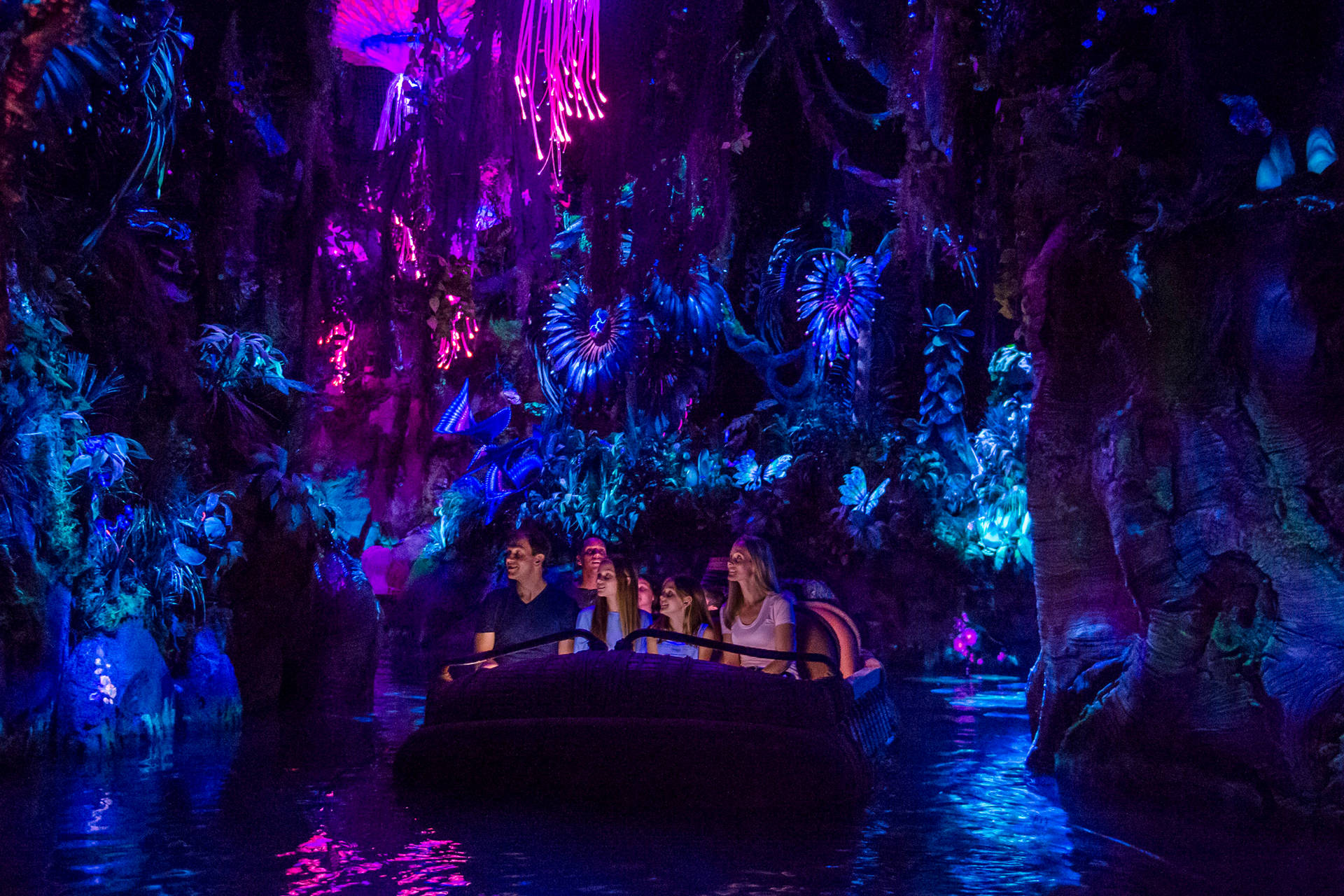 Disney World Pandora River