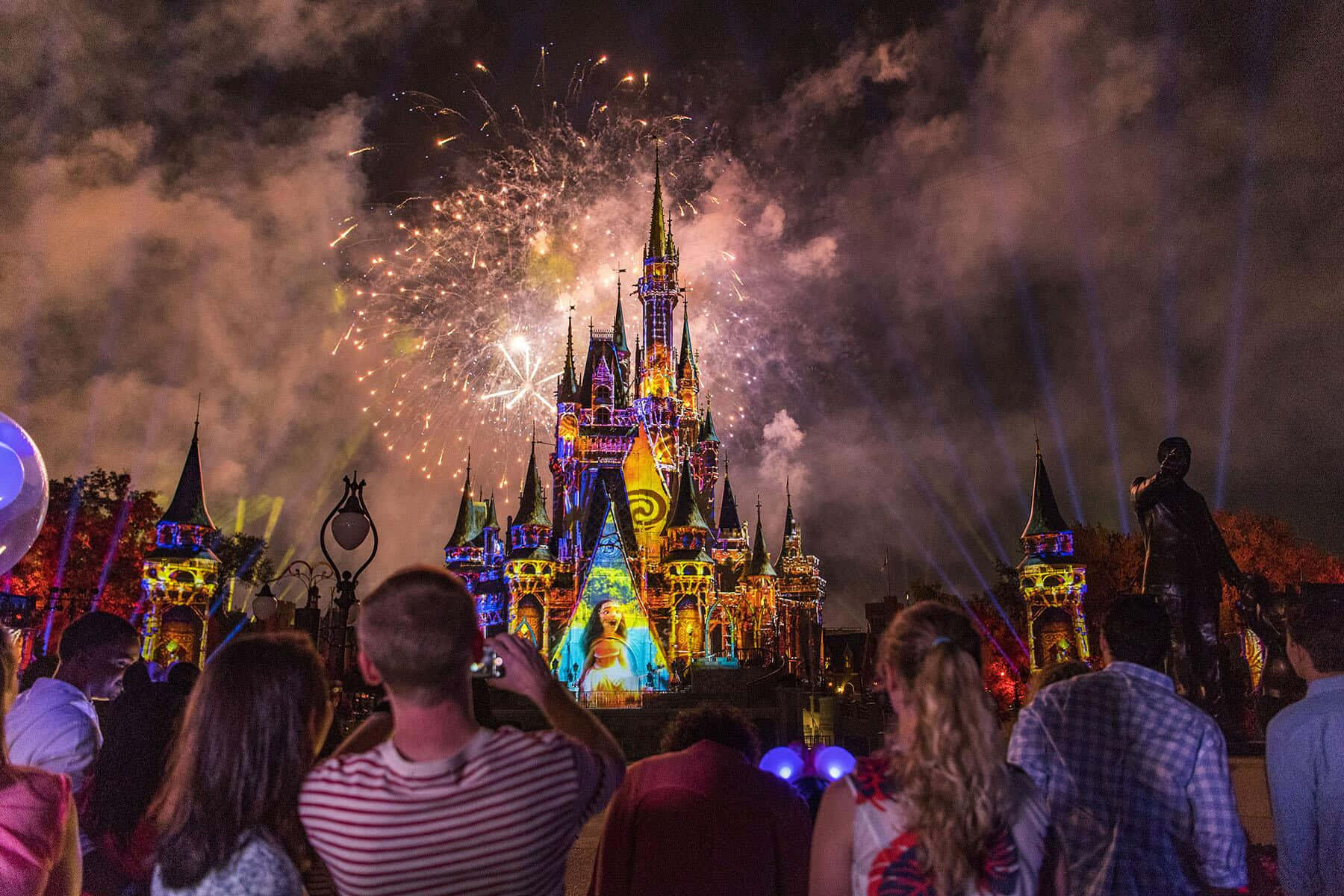 A magical time for the whole family experience at Disney World