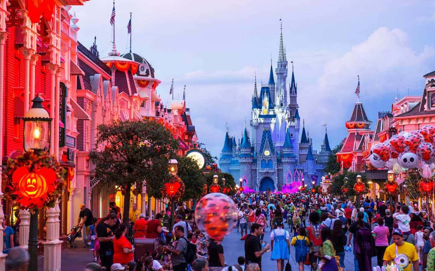Experience the magic of Disney World!