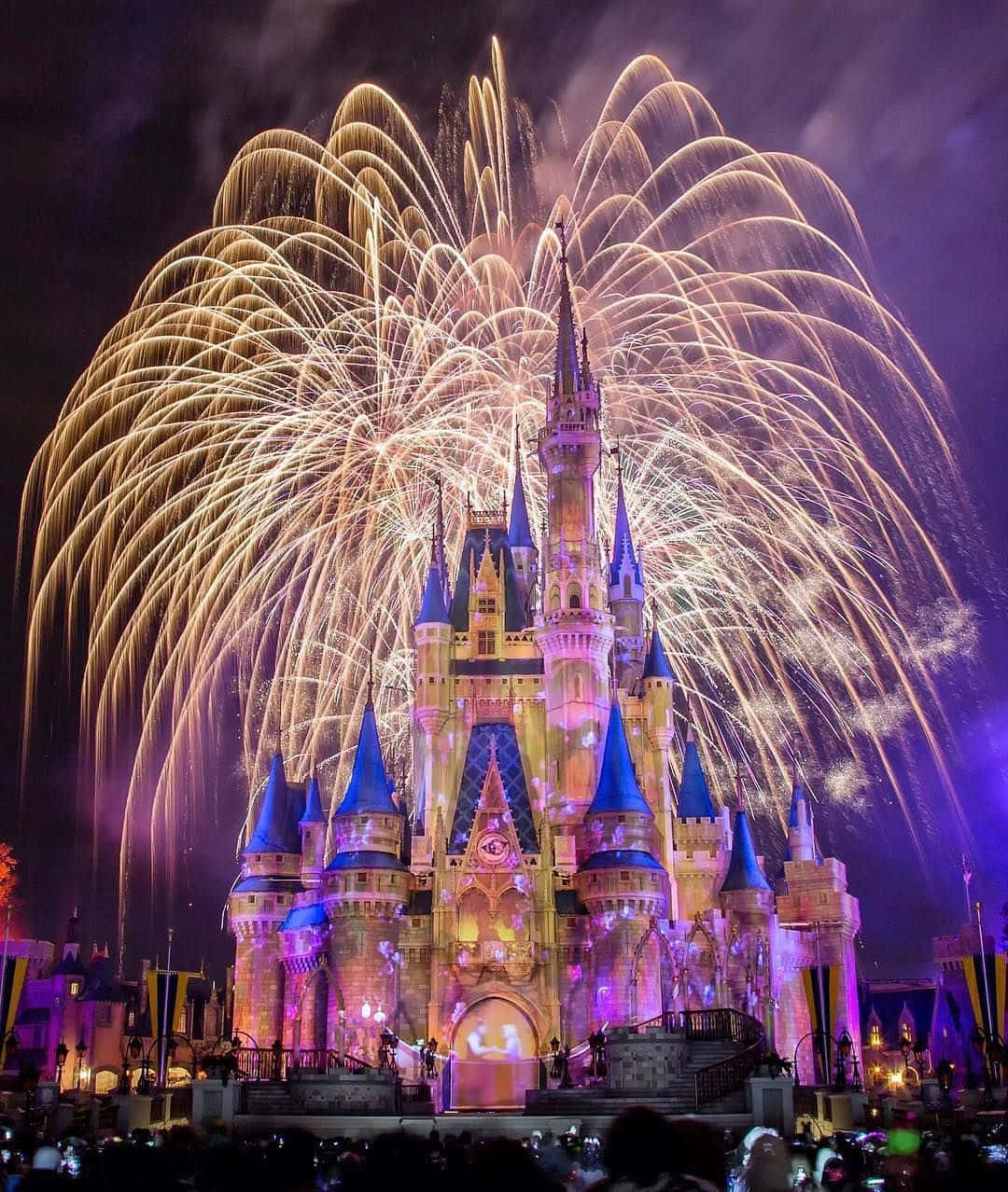 Explore the Magic of Disney World