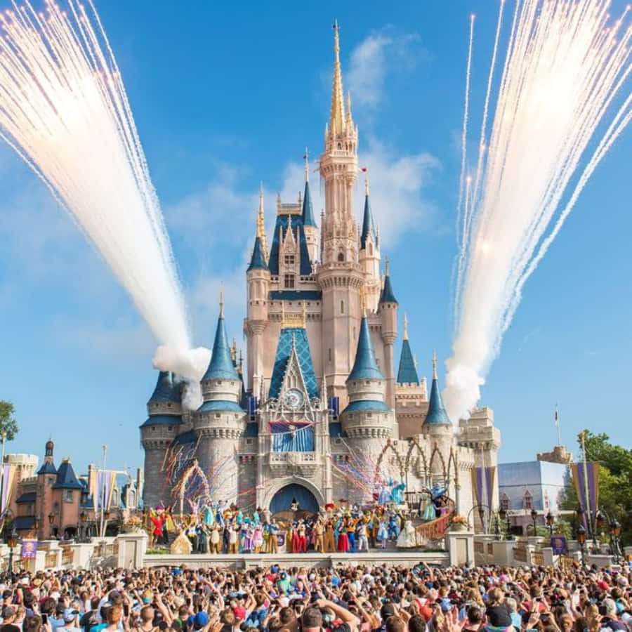 Upptäckde Magiska Världarna I Disney World