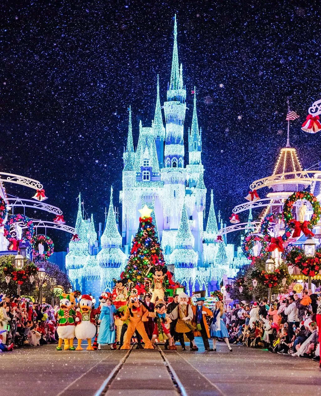 Delight In a Magical Trip to Disney World