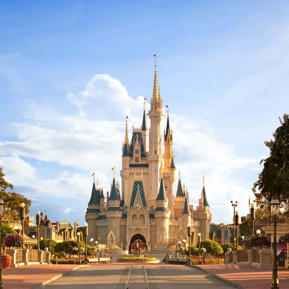 Take a Magical Trip to Disney World